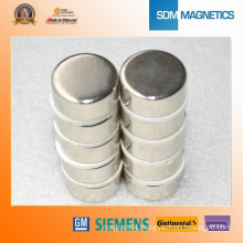 Super Strong Magnetic Motor Sale Neodimium Magnet